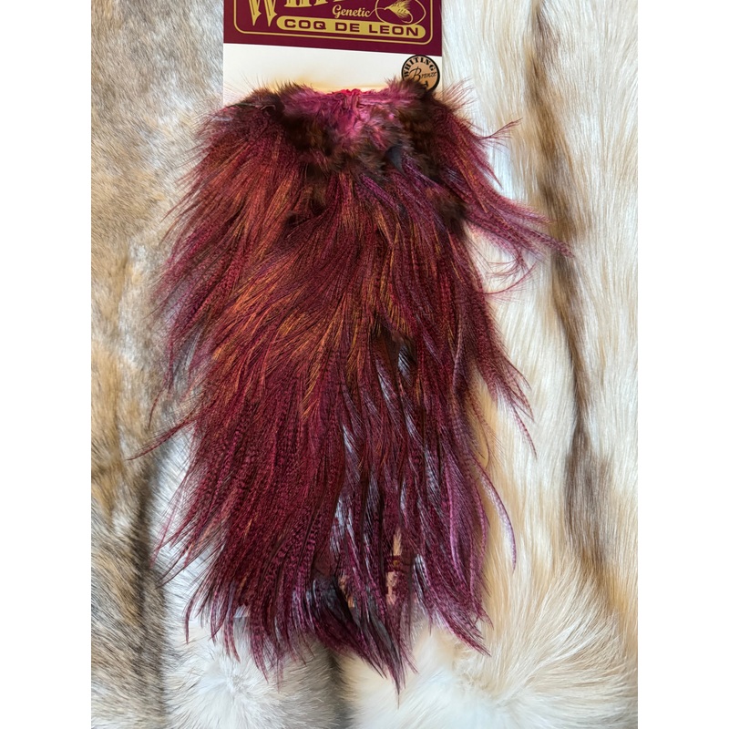 Whiting Capes – COQ DE LEON – Rooster Saddle (Bronze) – Badger Dyed Pink