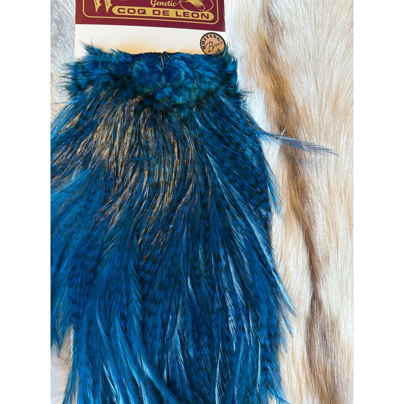 Whiting Capes – COQ DE LEON – Rooster Saddle (Bronze) – Grizzly dyed Kingfisher Blue