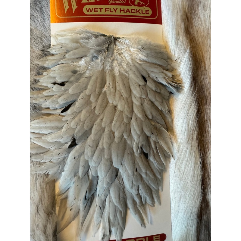 Whiting Capes – Wet Fly Hackle – White Dyed Light Dun