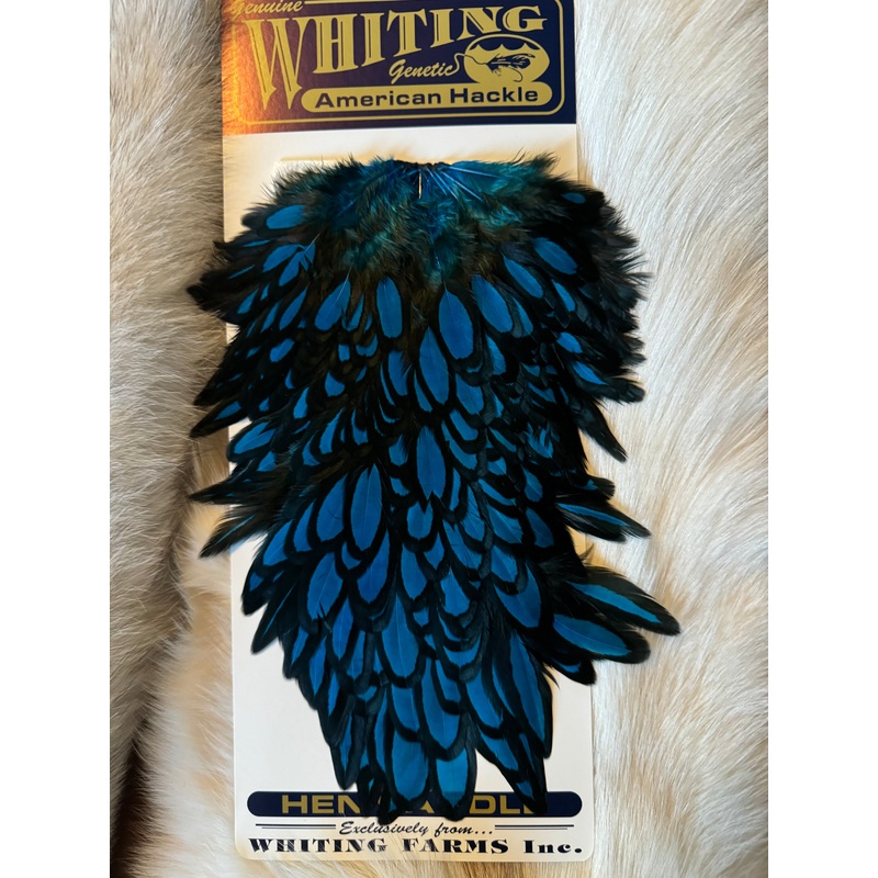 Whiting Capes – American Hackle – Hen Saddle – Black Laced White / Dyed Kingfisher