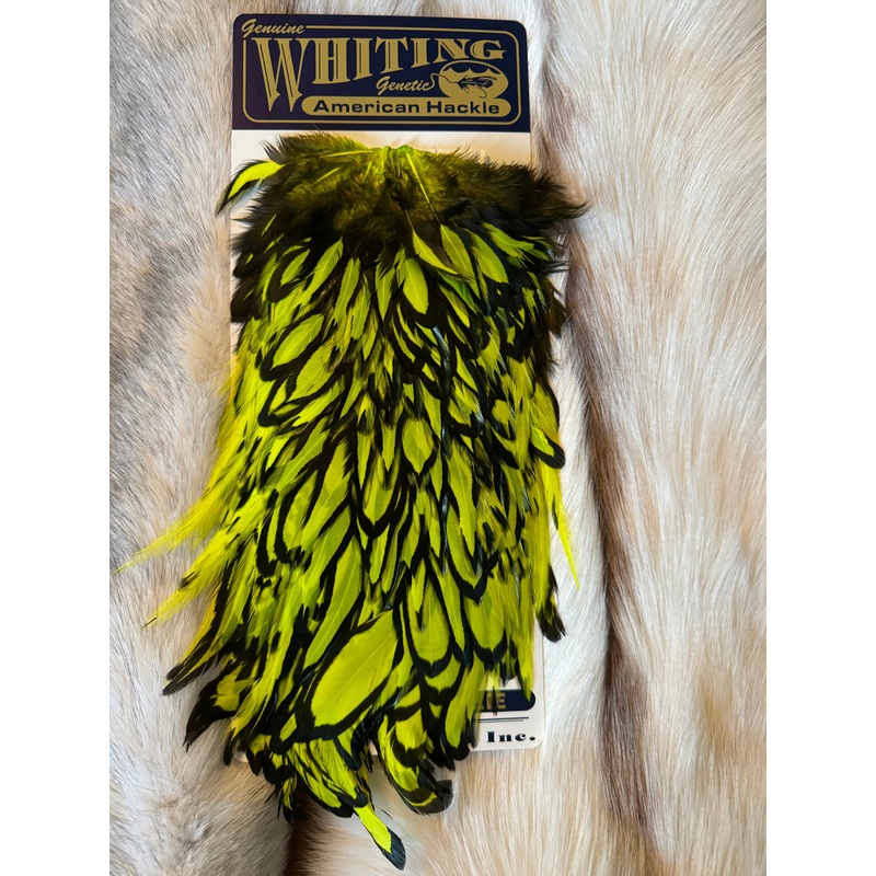 Whiting Capes – American Hackle – Hen Saddle – Black Laced White / Fl. Yellow – Chartreuse (2)