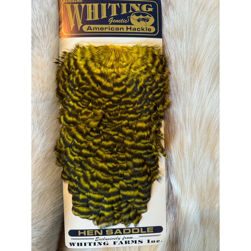 Whiting Capes – American Hackle – Hen Saddle – Grizzly Dyed Yellow (3)