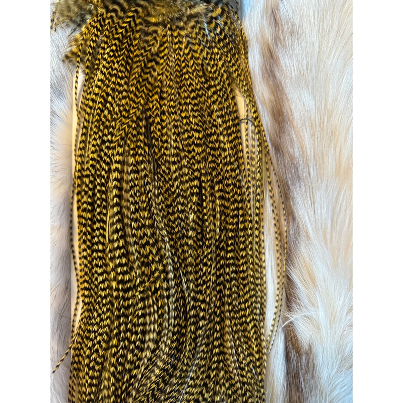 Whiting Capes – High & dry Hackle saddle – Grizzly Dyed Golden Straw