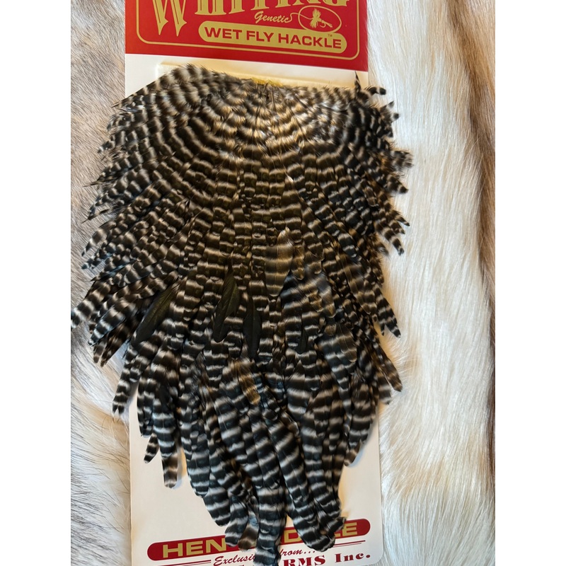 Whiting Capes – Wet Fly Hackle Hen Saddle – Grizzly