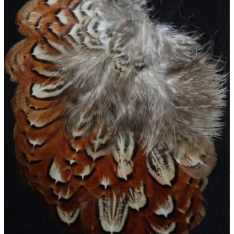 Chevron Pheasant Shoulder|Natural|Red|Chartreuse|Sunburst|Kingfisher Blue|Fl. Yellow