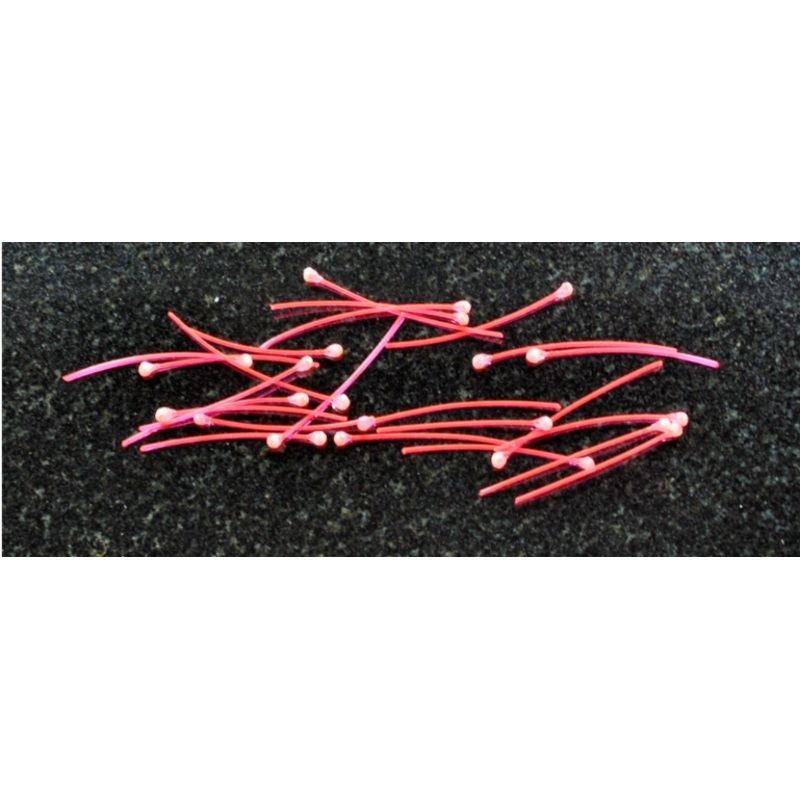 Glow Eyes|Micro with Fibreoptic stem|Standard with Pink stem