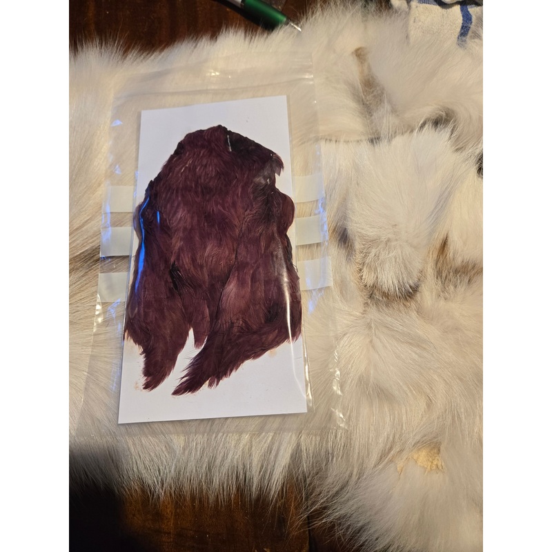 Indian Hen Neck|Light Olive|Medium Olive|Green|Brown|Black|Natural Badger|Natural Ginger|Claret