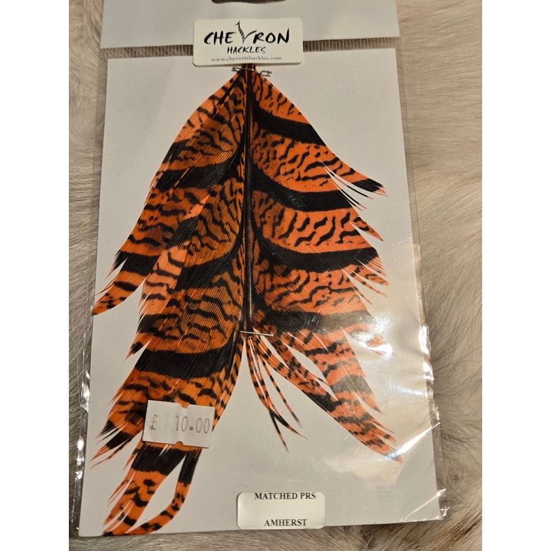 Amherst – Matched Pairs|Purple|Hot Orange|Yellow|Green Highlander|Kingfisher Blue|Royal Blue|Red|Flame – tricolour