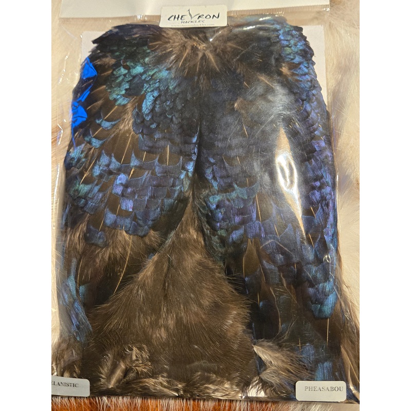 Chevron Hackles – Pheasabou|Melanistic|Black|Kingfisher Blue|Red|Royal Blue|Hot Orange