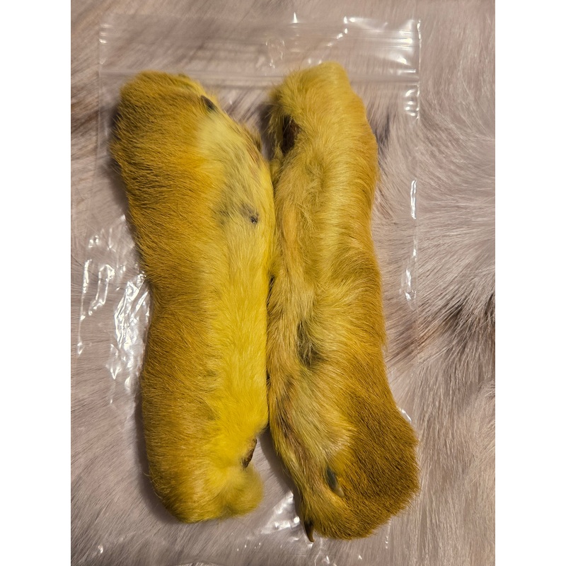 Snowshoe|Natural|Yellow|Red|Grey