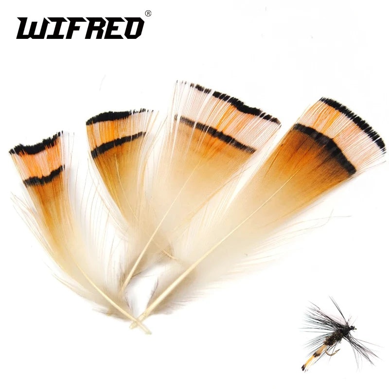 50PCS Natural Color Golden Pheasant Head Crest Feather Fly Tying Coachman Tailling Material Wifreo Brand
