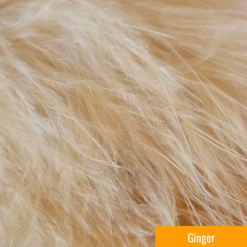 Wapsi Select Marabou Plumes|Amber|Black|Brown|Burnt Orange|Ginger|Light Olive|Olive|Olive Green|Orange|Peach|Purple|Red|Rusty Brown|Root Beer|Sculpin Olive|Shrimp Pink|Wine|White