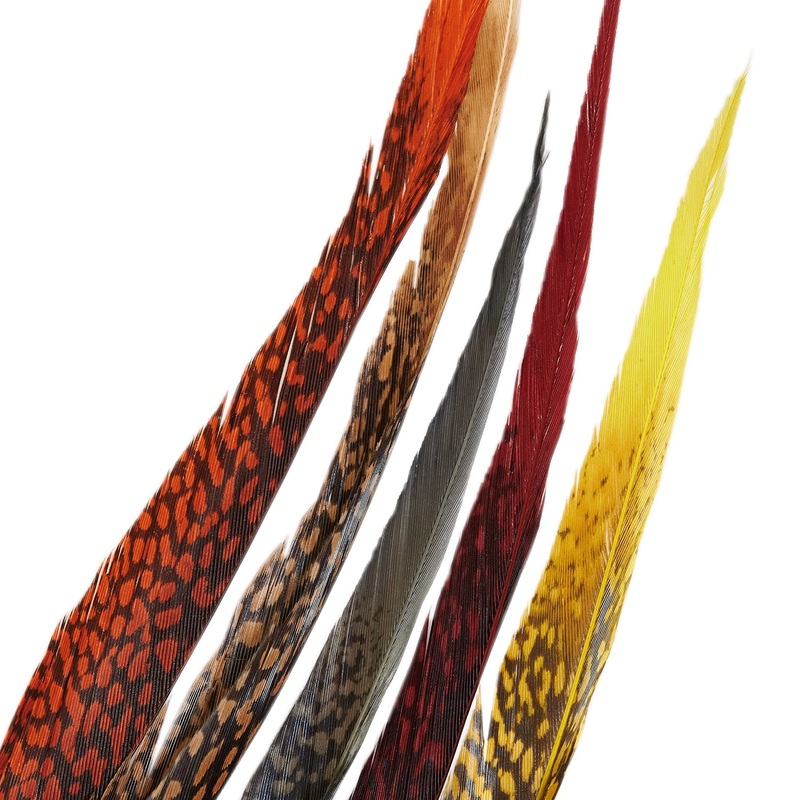 Golden Pheasant Center Tails|Claret