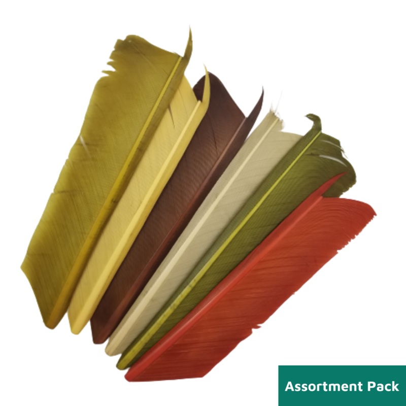 Turkey Biots|Assortment Pack|Blue Winged Olive|Olive|Light Olive|Rusty Spinner|Sulphur Orange|Caddis Green|Brown|Red|Claret|Black|White|Fluorescent Chartreuse|Pale Olive|Gray Olive|Baetis|Yellow|Tannish Yellow|Trico|Hendrickson|Mahogany|Light Cahill|Muskr