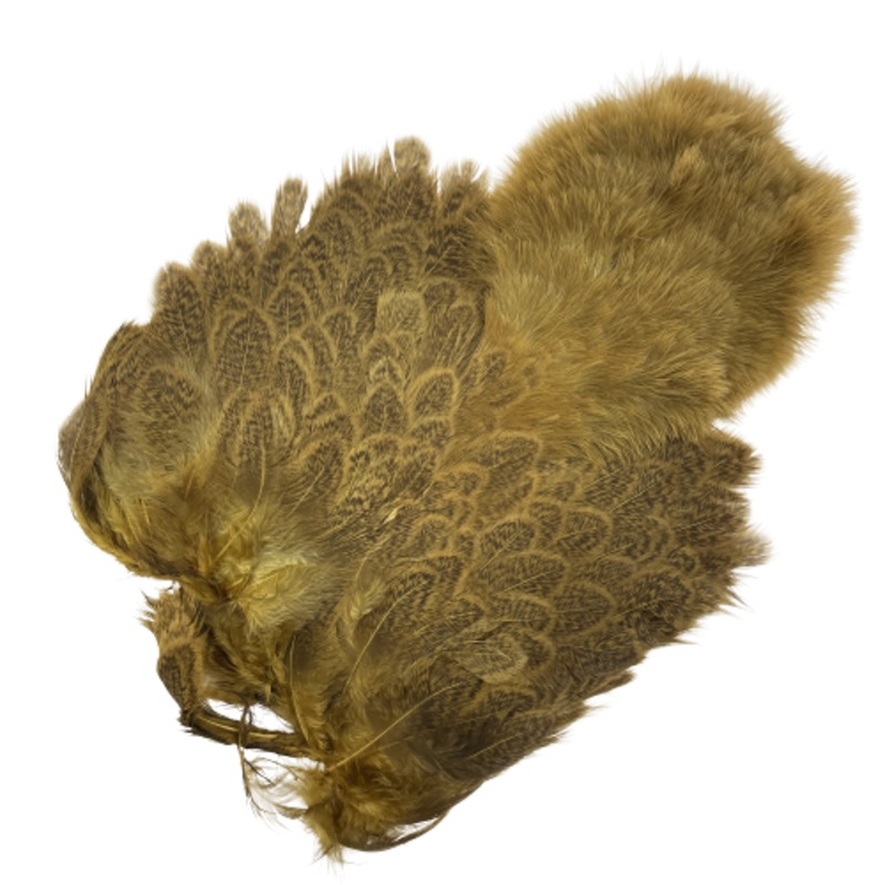 Whiting Brahma Hen Soft Hackle w/ Chickabou