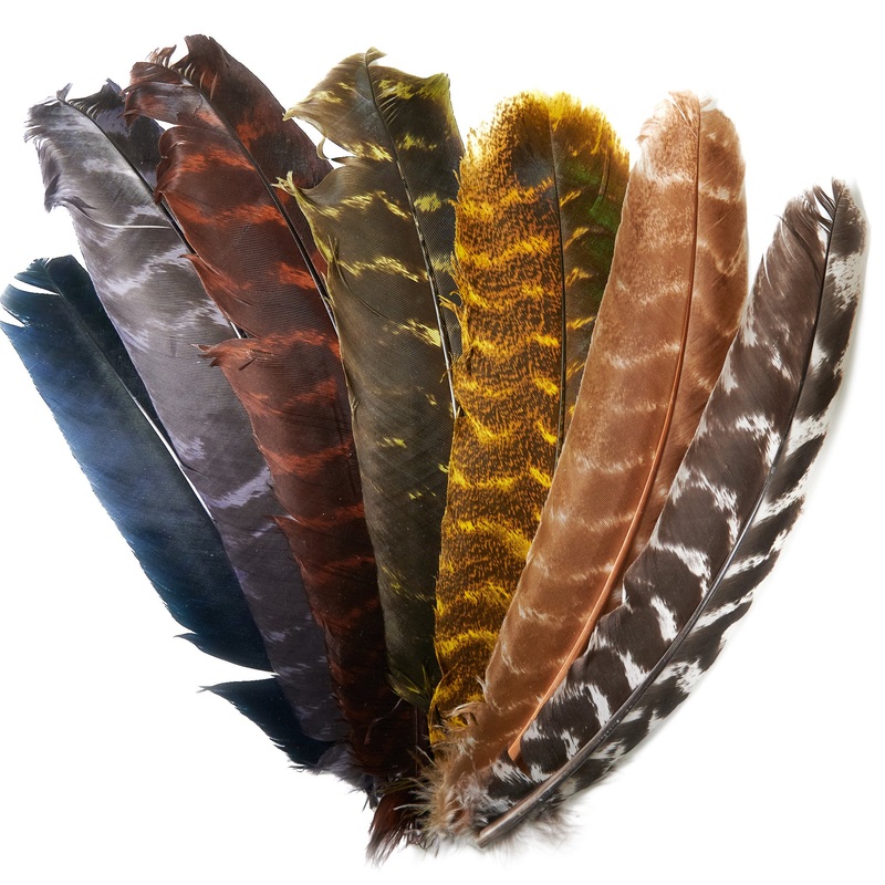 Ozark Barred Turkey Quills|Olive|Yellow|Muskrat Gray|Brown|Black|Natural|Bleached|Caddis Green