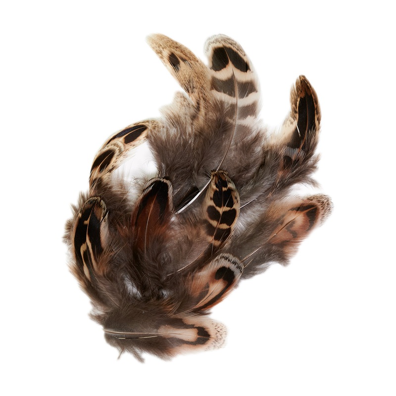 Ringneck Hen Pheasant  – 24 Feathers