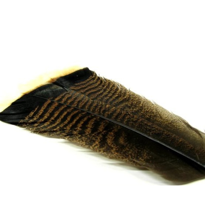 MOTTLED TURKEY TAILS|SELECT|WHITE TIPPED