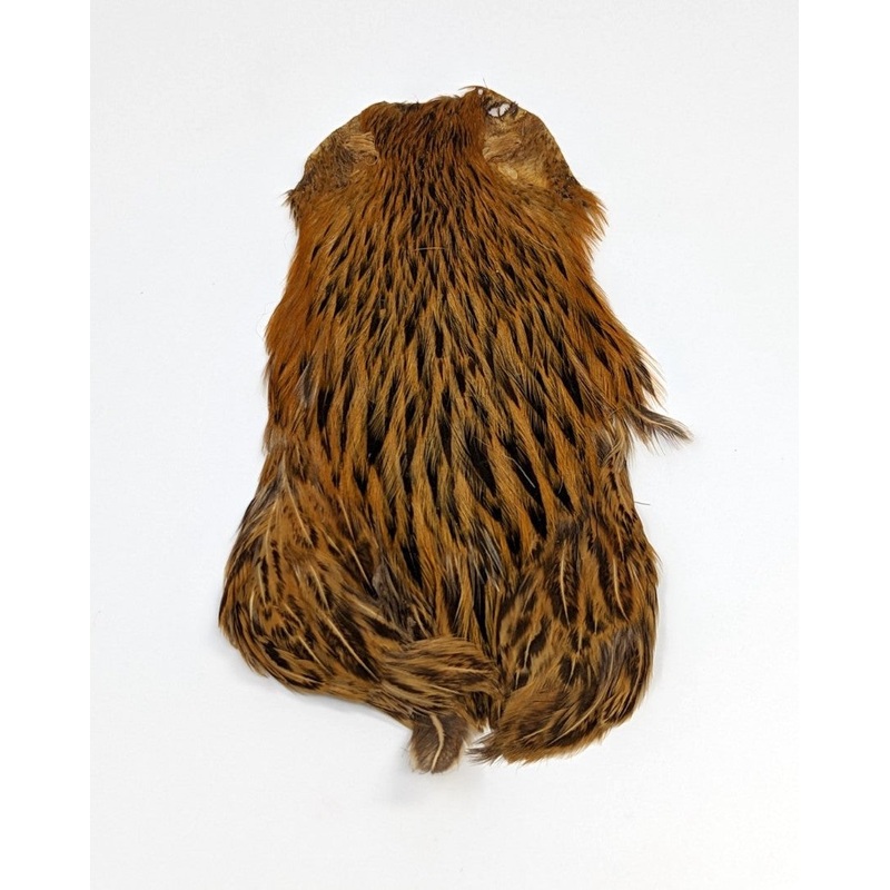 HEN NECK|Furnace|Olive|Ginger|Cream|Badger|White|Dun|Dark Dun|Black|Brown