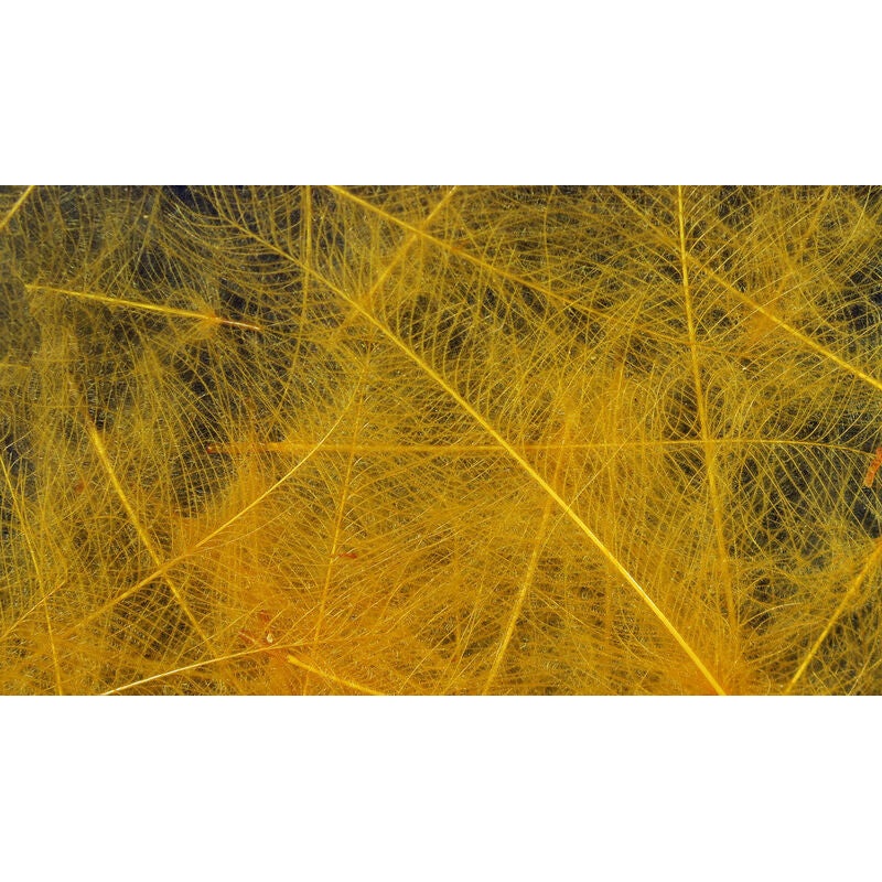CUL DE CANARD FEATHER|WOOD DUCK GOLD|BROWN|OLIVE|TAN|NATURAL DUN|CALLIBAETIS|SLATE GRAY|LIGHT PINK|YELLOW|LIGHT YELLOW|BLACK|RUSTY SPINNER|ORANGE|PMD|BWO|CINNAMON|CHARTREUSE|NATURAL WHITE|SULPHUR ORANGE|DARK DUN