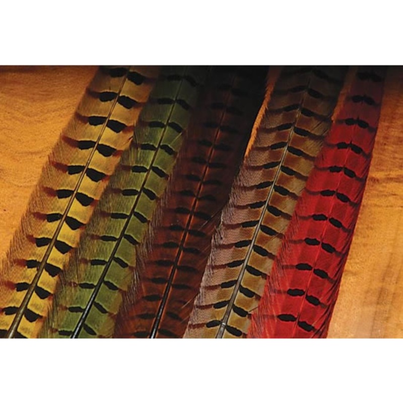 1 PAIR RINGNECK TAIL FEATHERS|RUSTY BROWN|BLEACHED GINGER|DUN|NATURAL COCK|RED|BLUE