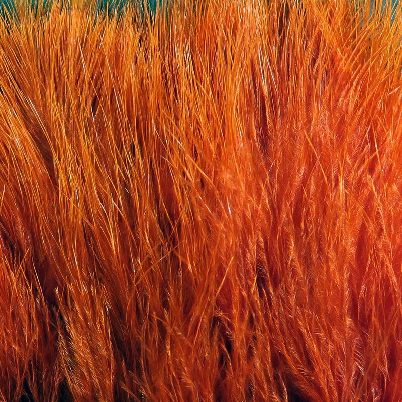 X-SELECT MARABOU|RUSTY BROWN|BURNT ORANGE|WHITE|OLIVE BROWN|YELLOW|TAN|SHELL PINK|HOT PINK|ORANGE|OLIVE|SHRIMP PINK|GREY MINNOW|CHARTREUSE|FL YELLOW|BRIGHT PURPLE|FL BLUE|HOT ORANGE|DARK OLIVE|PURPLE|RED|BROWN|FL FUCHSIA|BLACK