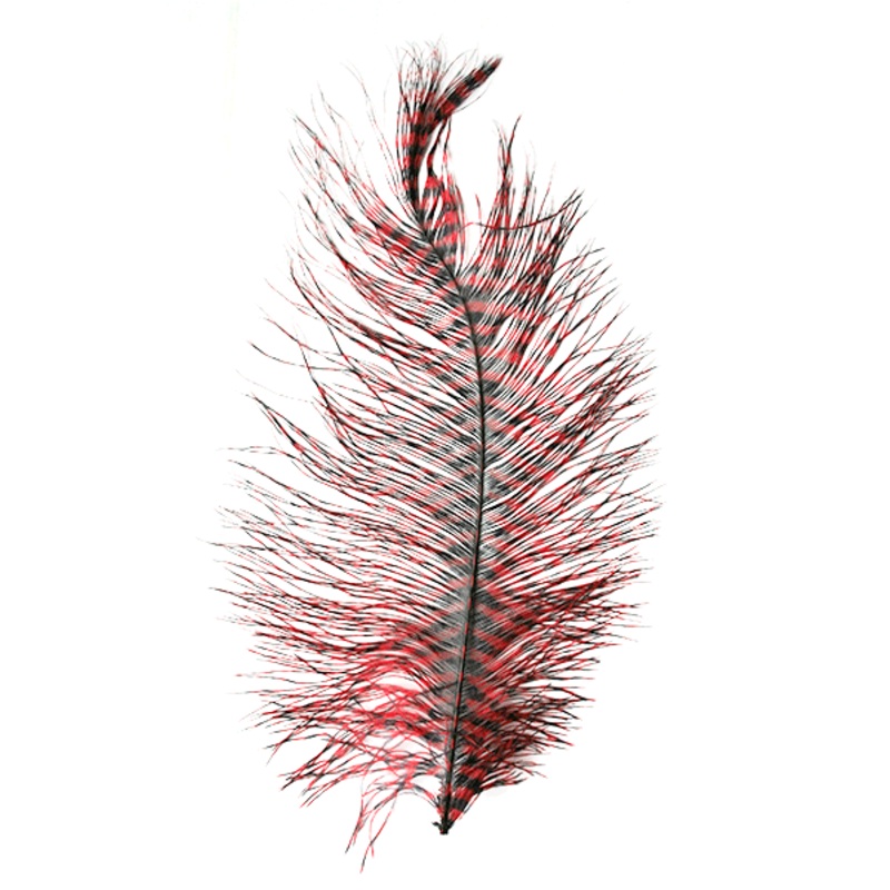 BARRED OSTRICH PLUME|RED/BLACK|FUCHSIA/BLACK|YELLOW/BLACK|OLIVE/BLACK|KINGFISHER BLUE/BLACK|CHART/BLACK|WHITE/BLACK|PURPLE BLACK|KINGFISHER BLUE/ROYAL BLU|BLUE/BLACK