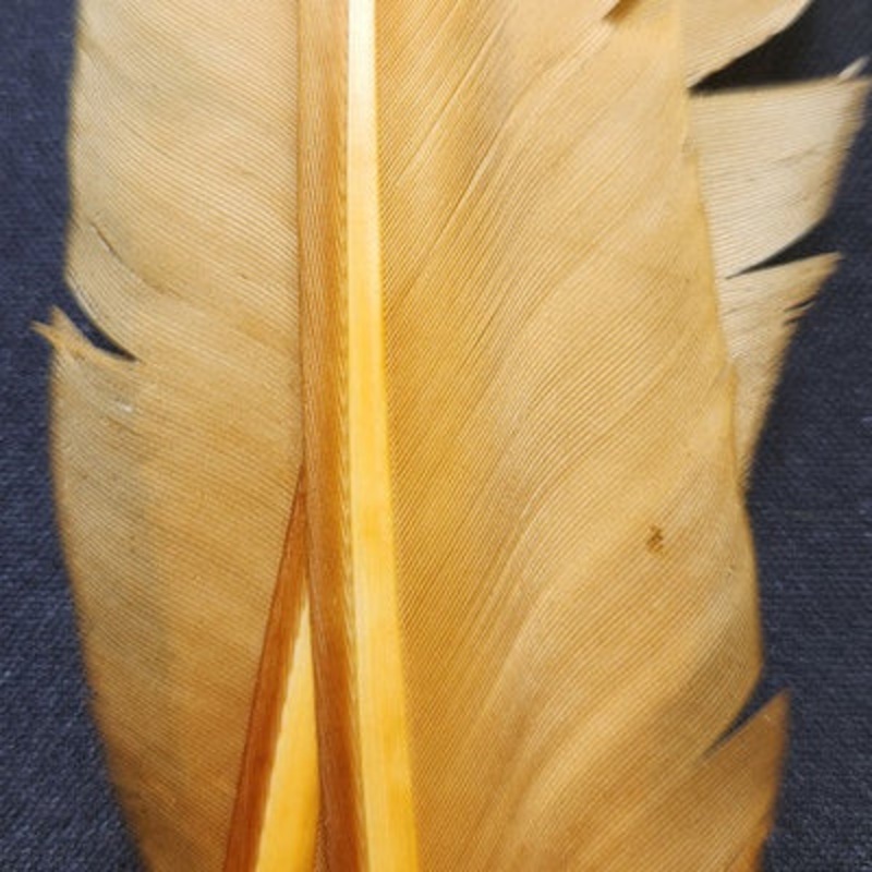 DUCK QUILL 2 MATCHED PAIRS – WAPSI