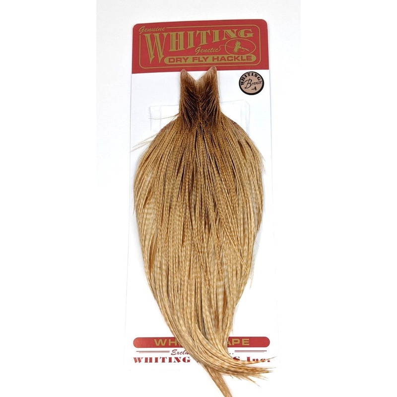 WHITING BRONZE CAPE|Barred Dark Ginger|Grizzly
