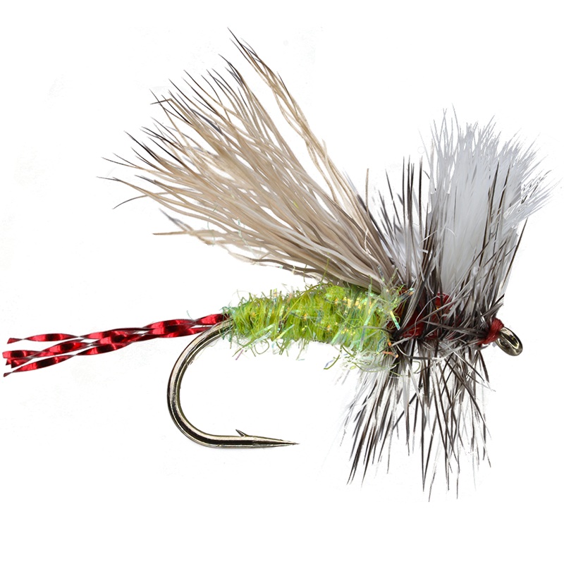 Fatal Attractor|Chartreuse|Pink|Purple|Yellow