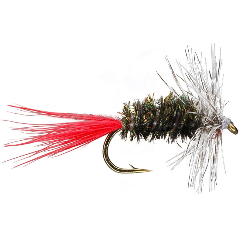 Hackle Peacock|Grey|Brown|12|14|16