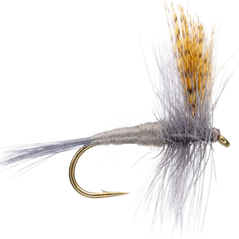 Hendrickson|Light|Dark|14|16