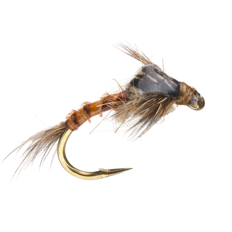 Biot Nymph|Dun|PMD|BWO|12|14|16|18|20