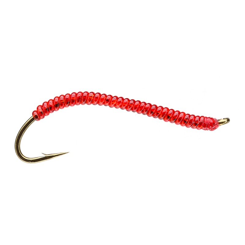 Larva Lace Worm|Red|Brown|6|8|10