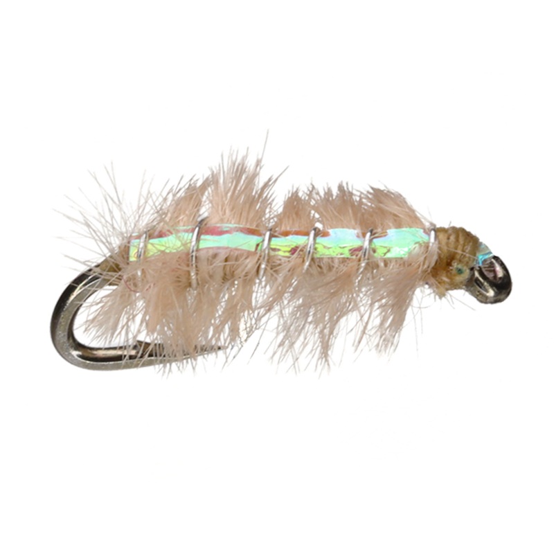 Ray Charles|Tan|Olive|Pink|Grey