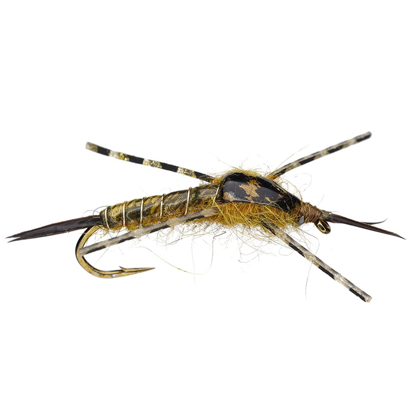 Stonefly Nymph|Black|Brown|Golden|4|6|8|10