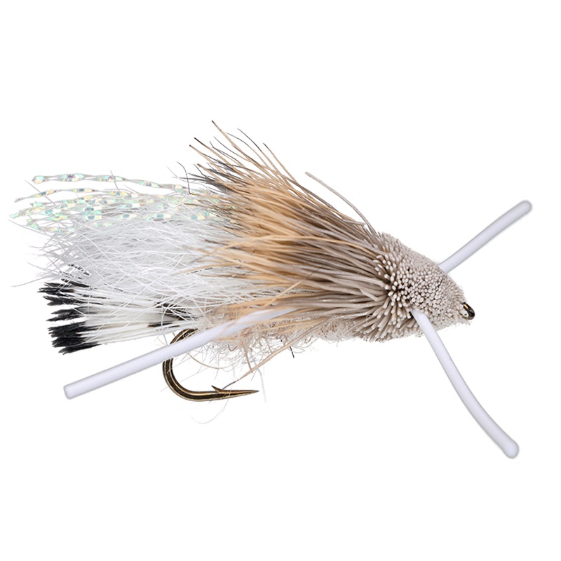 Turck’s Tarantula|Tan|Red|Yellow|8|10