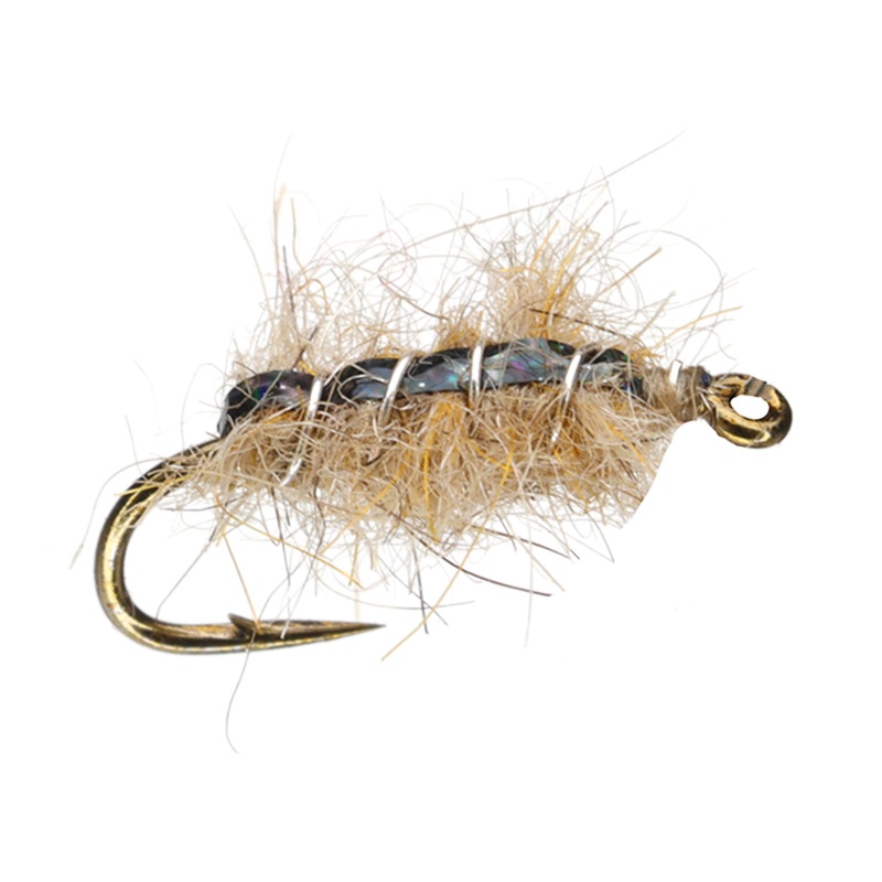 Sow Bug|Dark|Rainbow|Tan|Grey|16|18