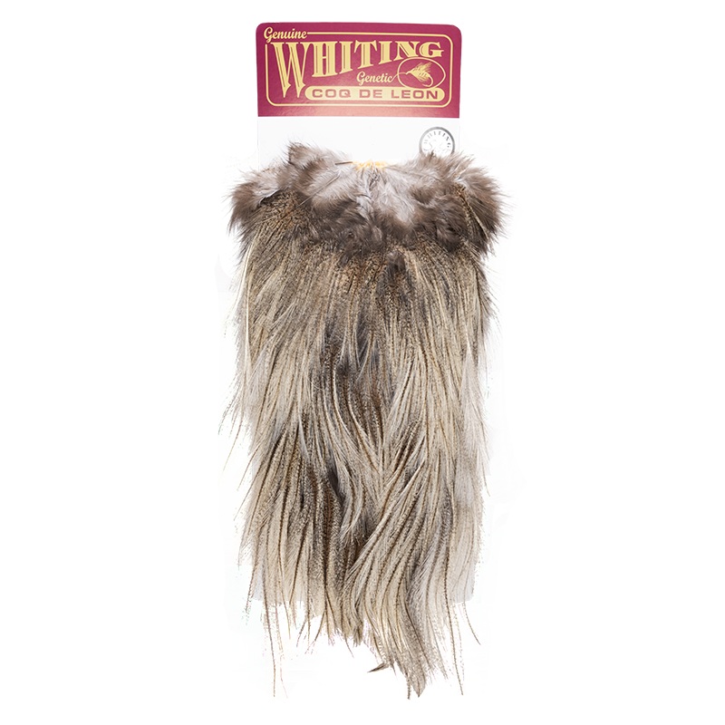 Whiting Coq de Leon Silver Saddle