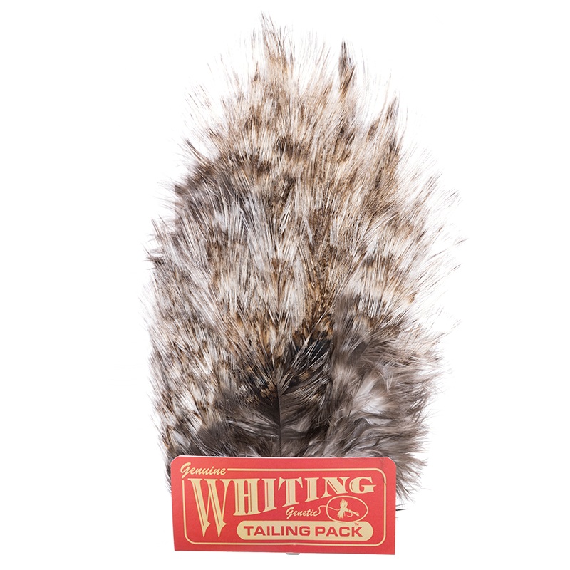 Whiting CDL Tailing Pack|Light Pardo|Dark Dun|Light Ginger|Medium Ginger|Black
