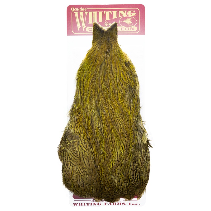 Whiting Coq de Leon Hen Cape|Speckled Olive|Brown Speckled