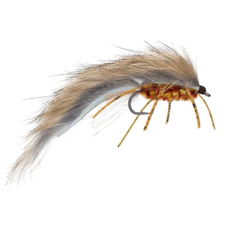 Zirdle Bug|Ginger|Olive