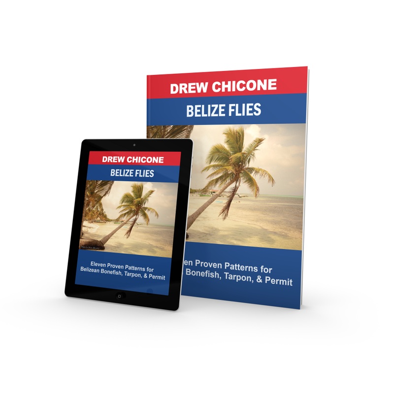 Belize Flies (eBook)