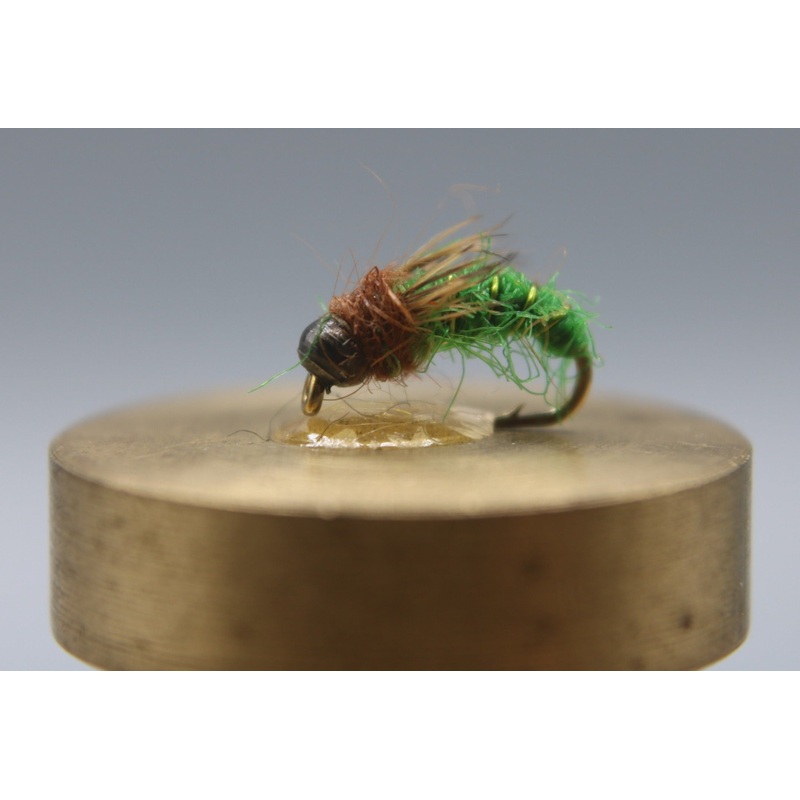 Bead Head Caddis Pupa|14|16|18|Caddis Green|Tan