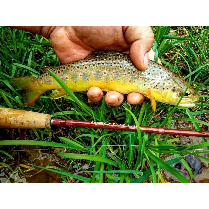 Genesis Fly Rod|7 foot 6 inch 3 weight 4 piece|9 foot 4 weight 4 piece|9 foot 5 weight 4 piece|9 foot 6 weight 4 piece|9 foot 7 weight 4 piece|9 foot 8 weight 4 piece