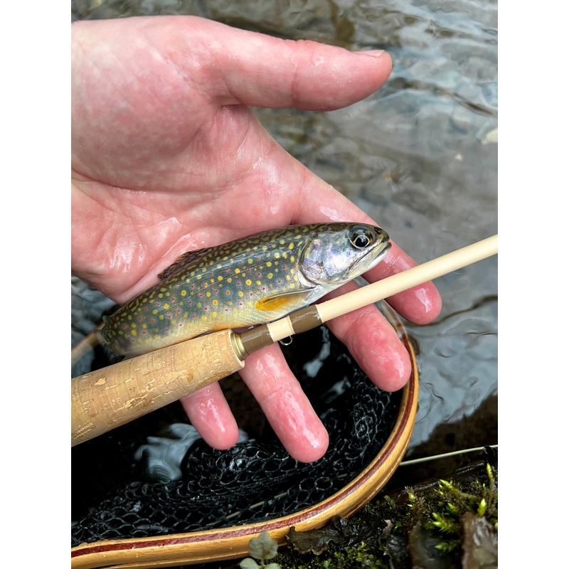 Small Stream Trout Kit|Genesis Rod|WLR 1 weight Rod|WLR 2 weight Rod|23PS Rod