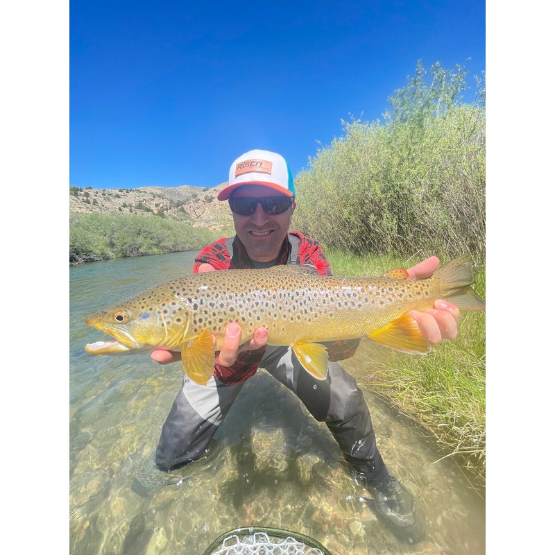 Trout Kit|Genesis Rod 4 weight|Genesis Rod 5 weight|Genesis Rod 6 weight|23PS Rod 4 weight|23PS Rod 5 weight|23PS Rod 6 weight