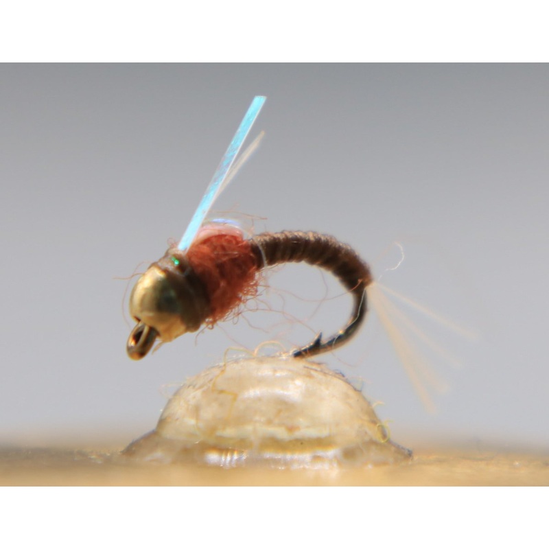 Bead Head WD 40 Flash|16|18|20|22|Black|Brown|Olive|Red