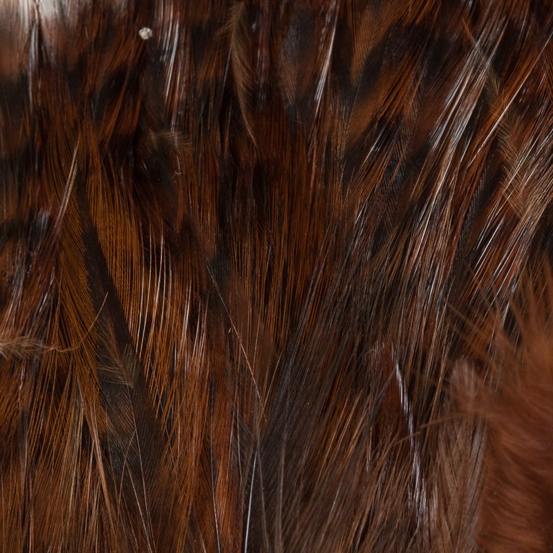 Barred Neck Hackle, Strung|Brown|Fl Chartreuse|Fl Fire Orange|Fl Pink|Natural|Olive|Purple|Red|Tan|Yellow