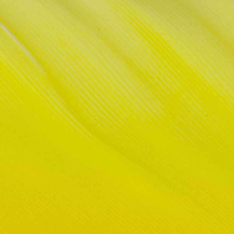 Goose Quill|Yellow|Red|Orange|Green|Olive|Dyed Gray|Natural Gray|Black|Blue|Brown|White